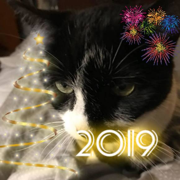 Meet your Posher, Kathleen - Picture 1 of 1